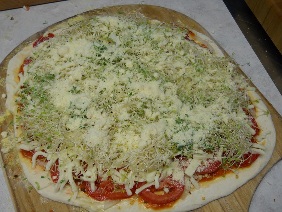 Pizza 8-6-11 8.JPG