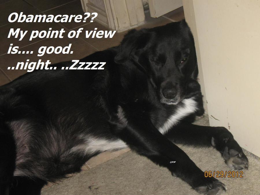 PJ on Obamacare.jpg