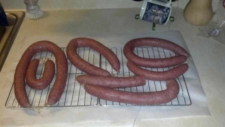 polish sausage.jpg