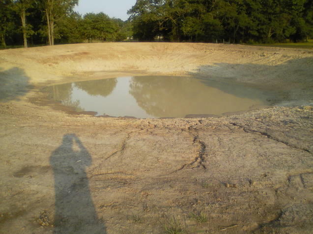 pond5.jpg
