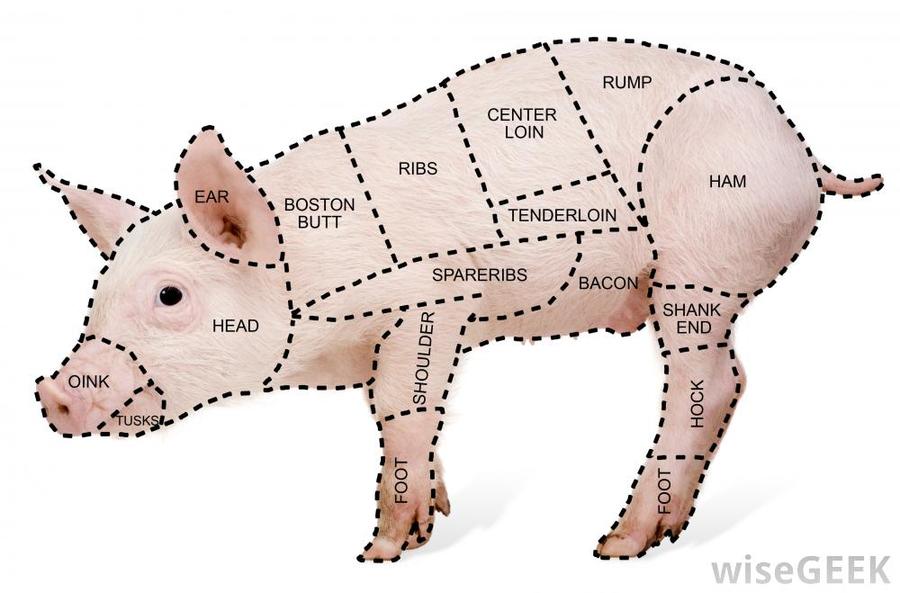 pork-cut-diagram.jpg