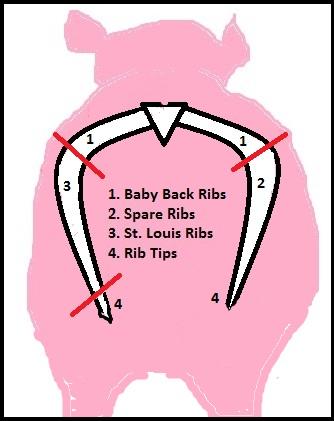 Pork-Rib-Diagram-v4.jpg