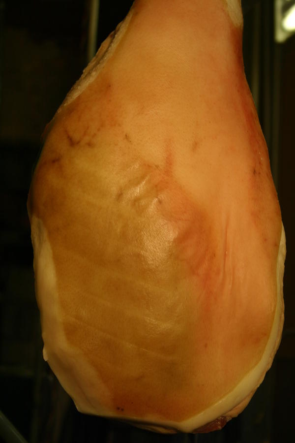 Posuitto hams 001.JPG