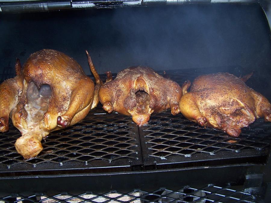 poultry1.jpg