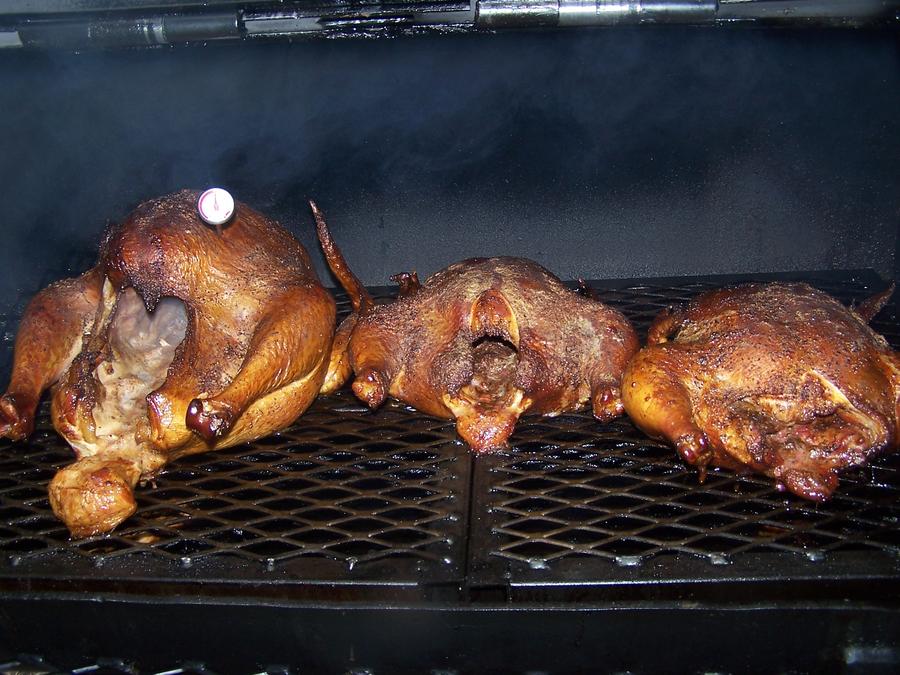 poultry2.jpg