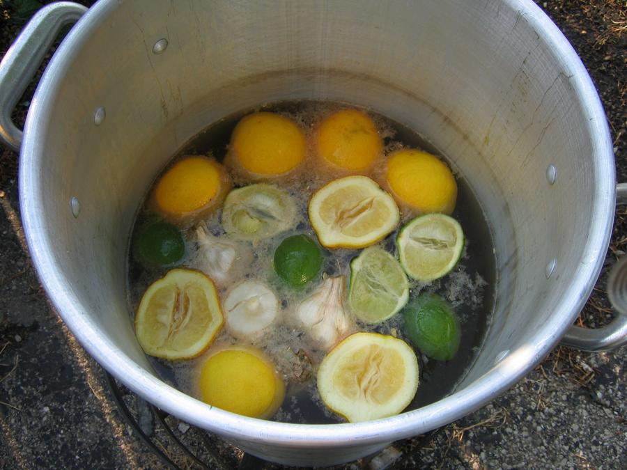 pre boil pot.JPG