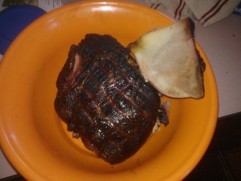 Prok Shoulder 002.jpg