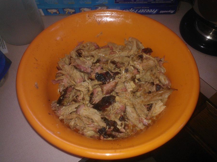 Prok Shoulder 003.jpg