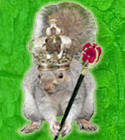 queensquirrel.jpg