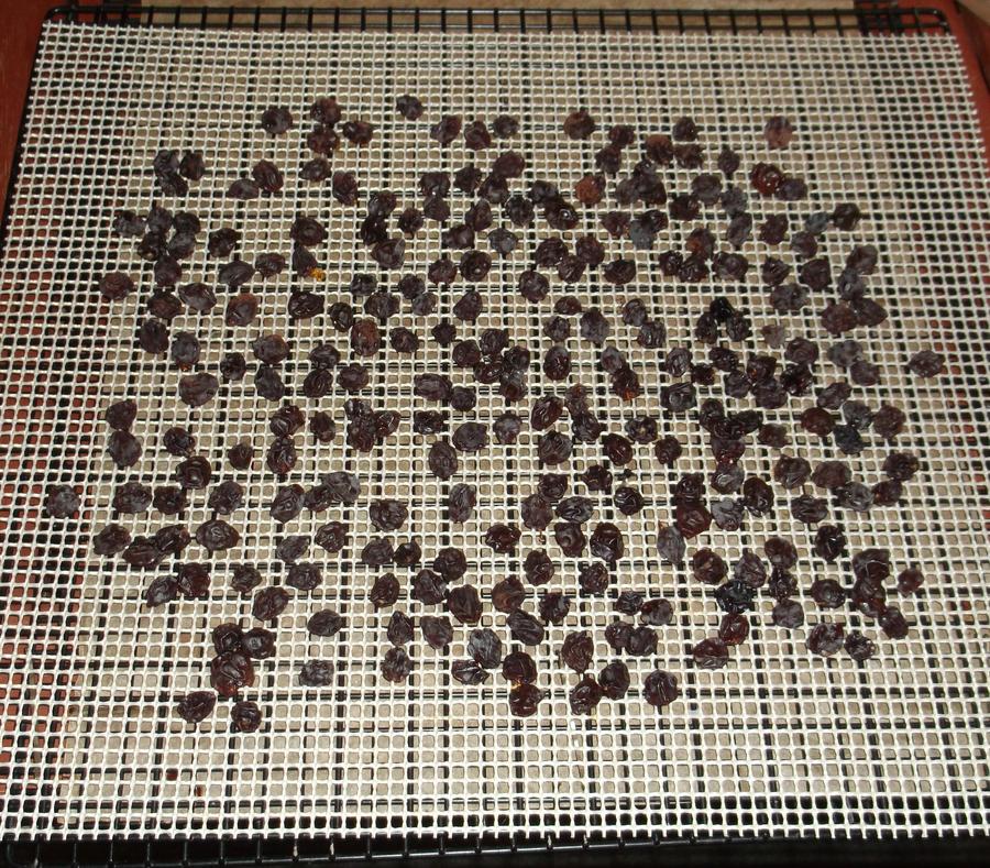Raisins.jpg