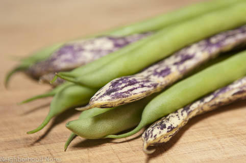 Rattlesnake Pole Beans.jpg