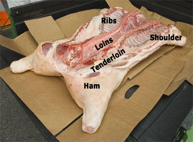raw_whole_hog2.jpg