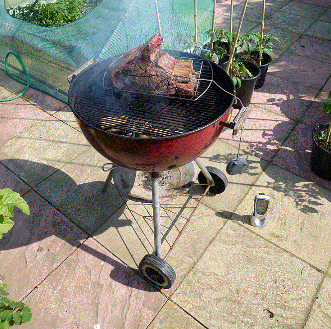 Red Weber with Rib Roast 3.gif