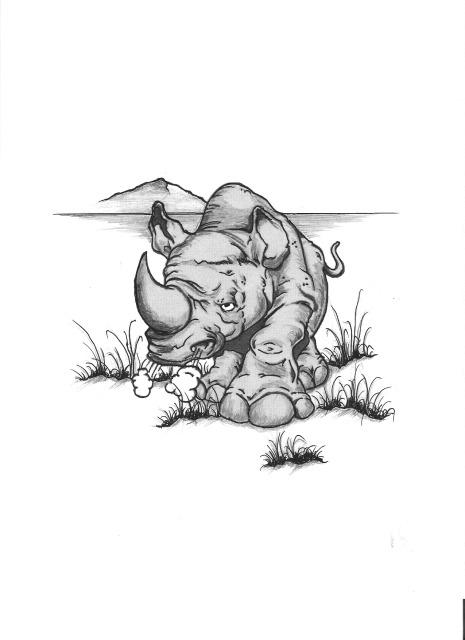 Rhino-3.jpg