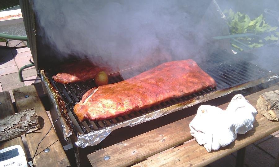 rib.jpg