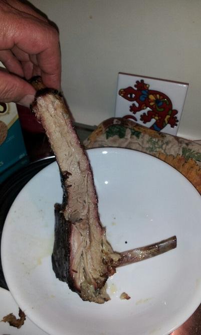 Rib shot.jpg
