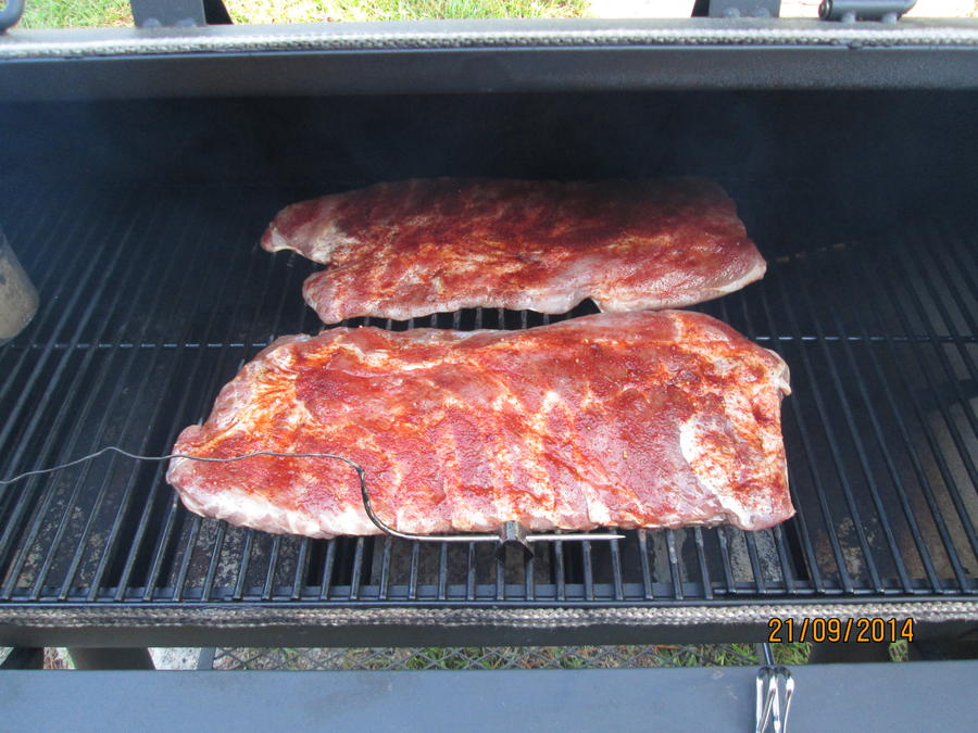 Ribs 003.JPG