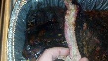 ribs 2.jpg