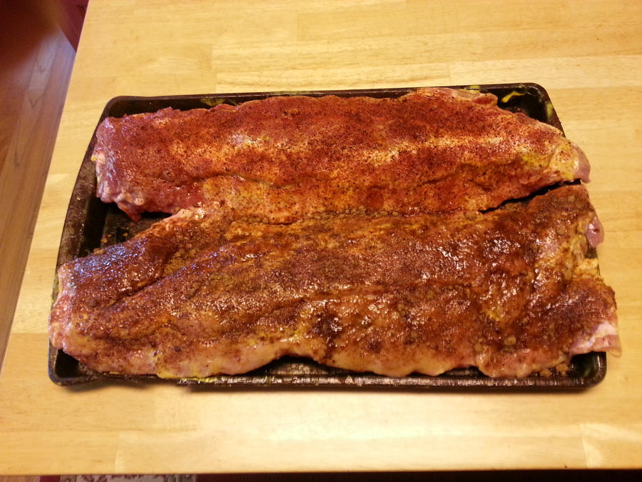 ribs81101.jpg