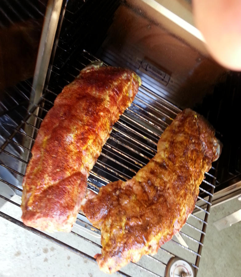 ribs81102.jpg