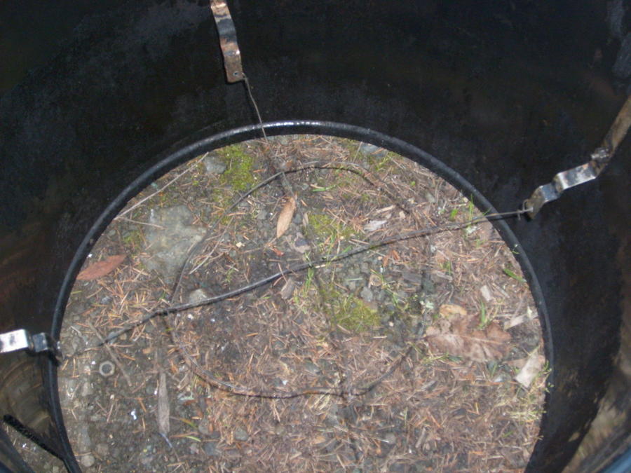 S6300923.jpg