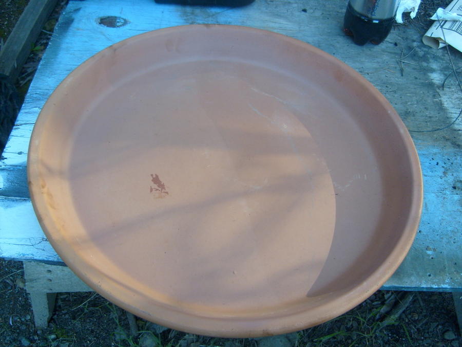 S6300924.jpg