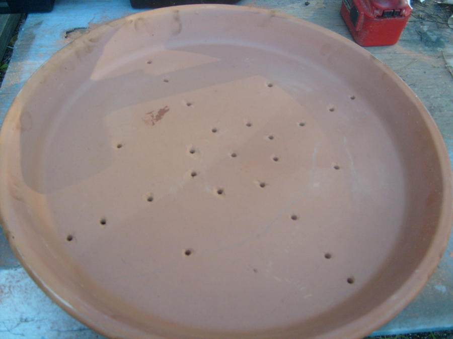 S6300927.jpg