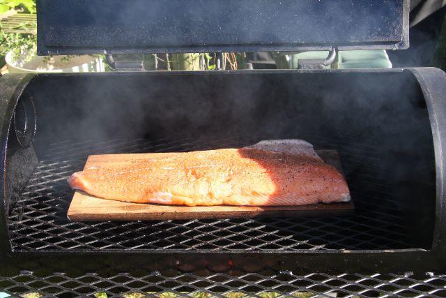 Salmon 0 - small.jpg