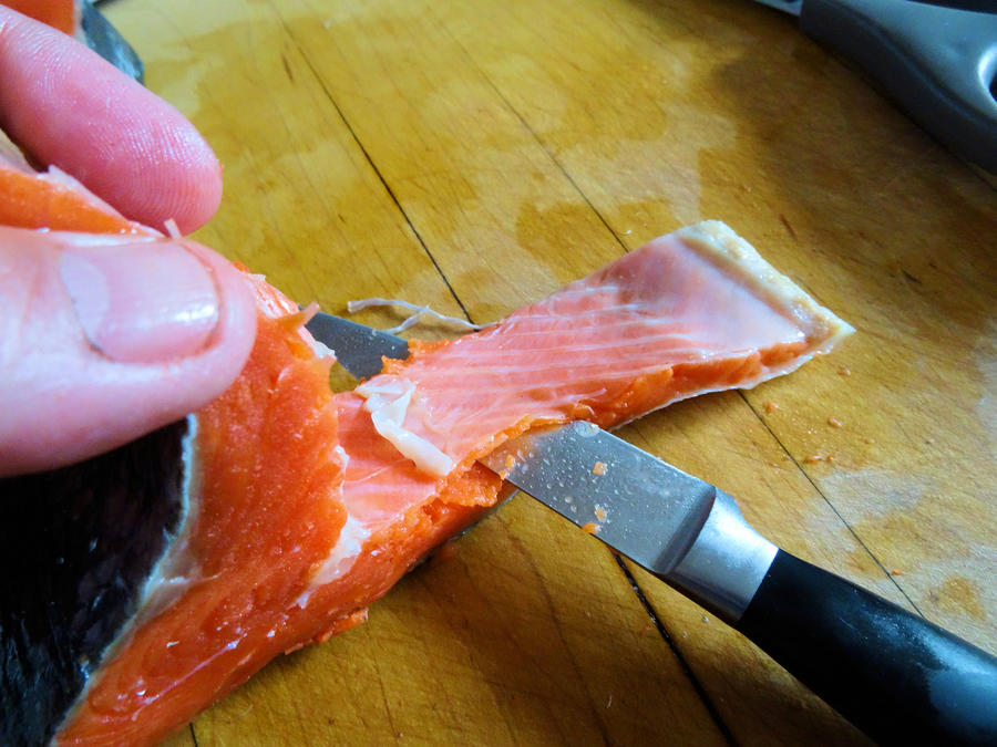 Salmon 01.jpg