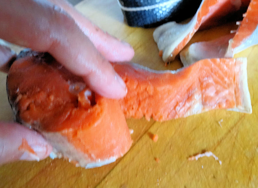 Salmon 04.jpg