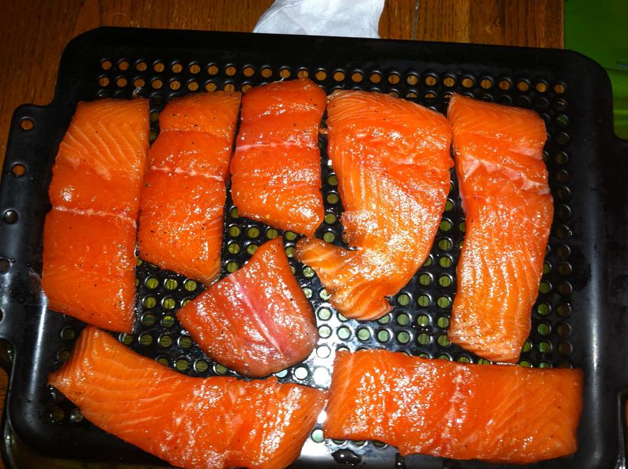 Salmon 1.jpg