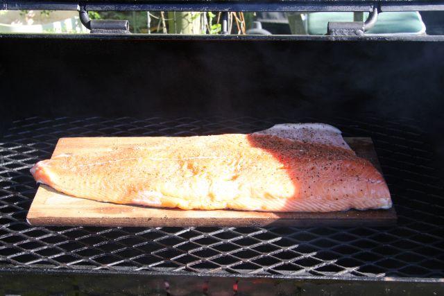 Salmon 1 - small.jpg