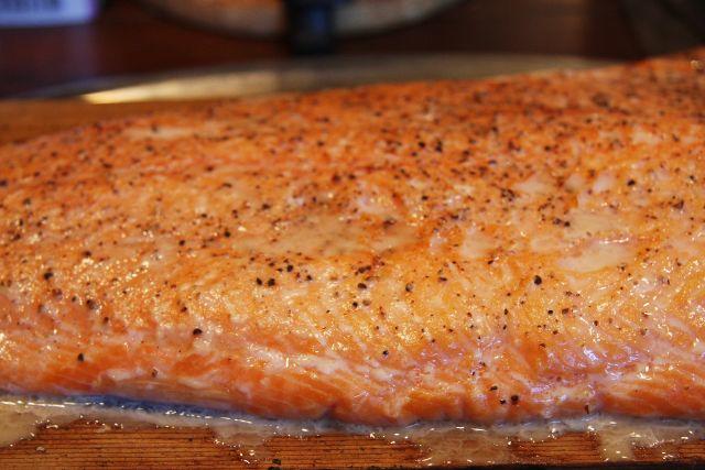 Salmon 2 - small.jpg