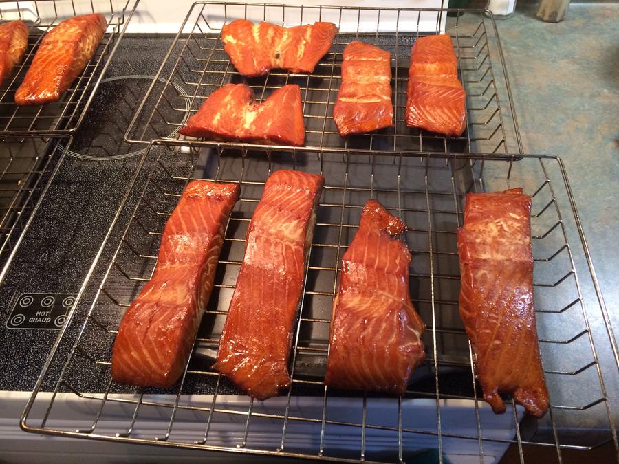 Salmon-26-08-17-02.JPG