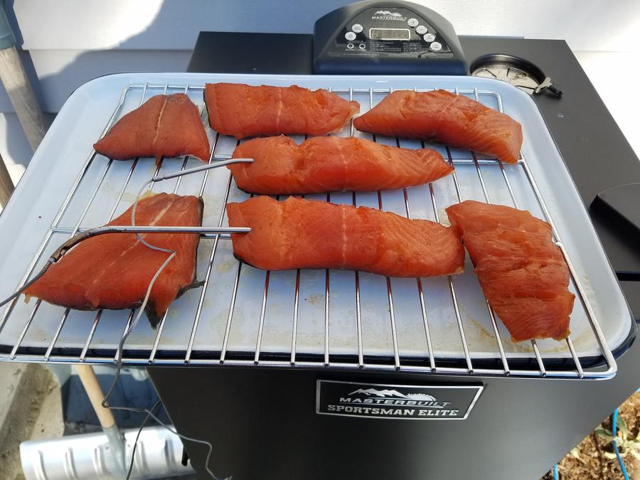 salmon 3.jpe