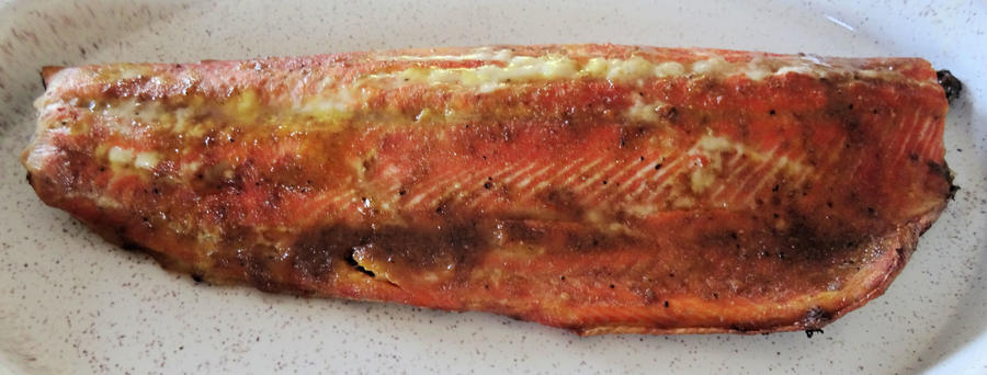 Salmon 5.jpg