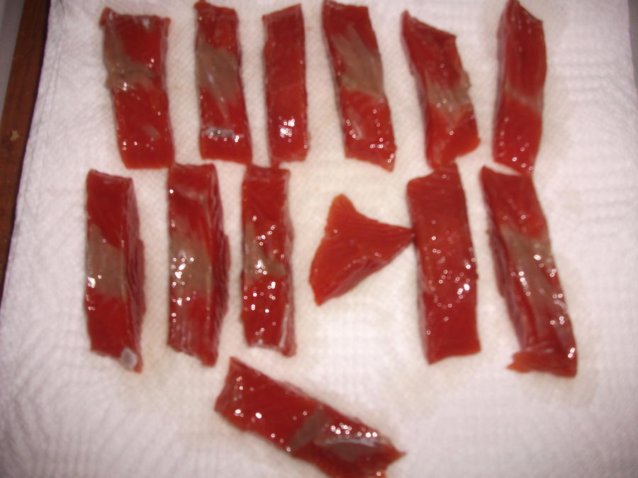 SALMON CANDY 001.jpg