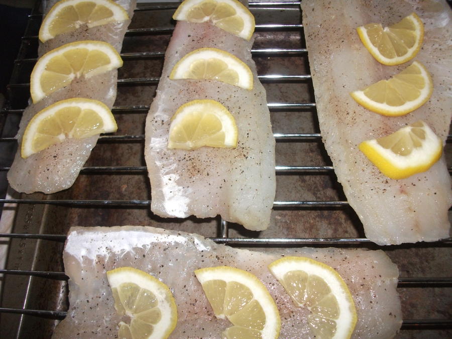 SALMON CANDY 021.jpg