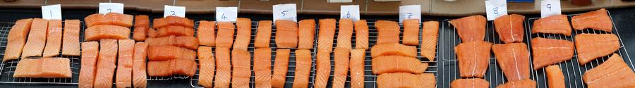 Salmon Display2.jpg