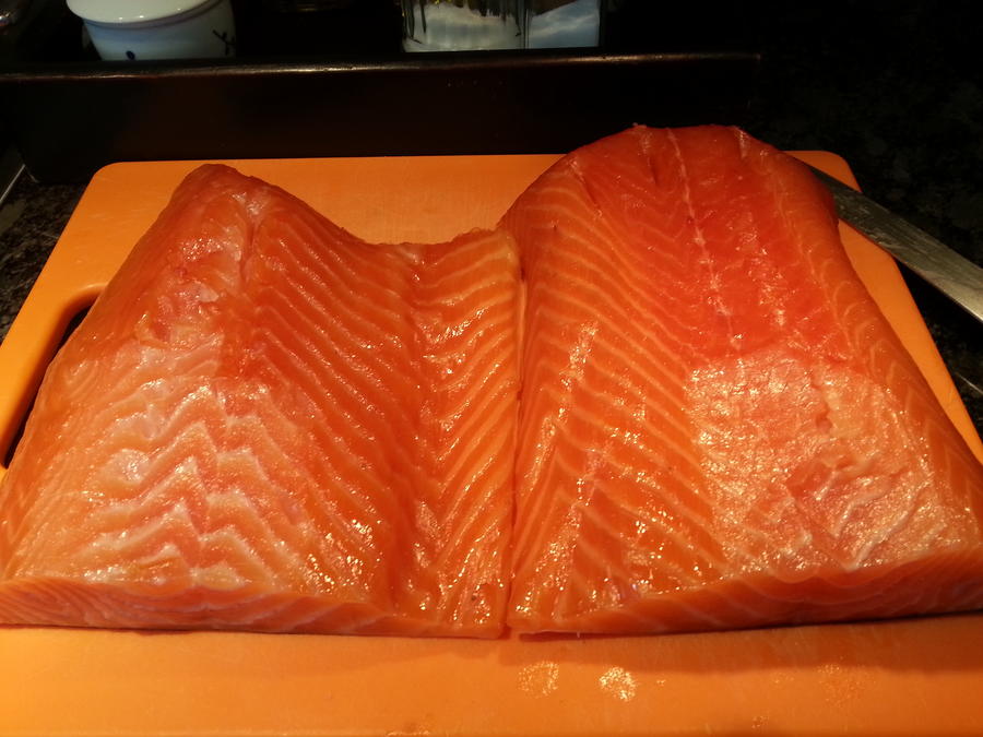 Salmon.jpg