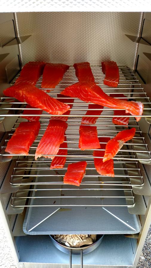 salmon saturday 3.jpg
