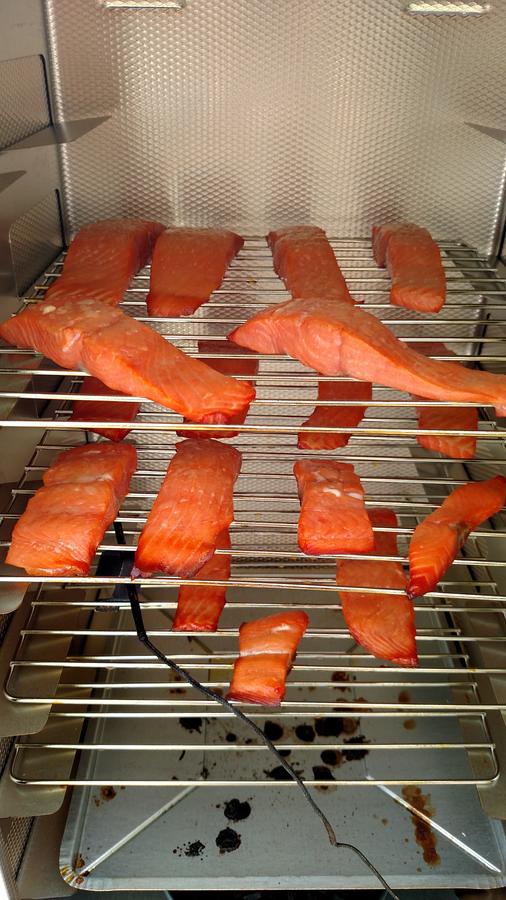 salmon saturday 6.jpg
