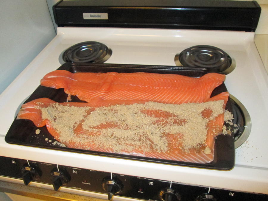 Salmon Smoking 003.JPG