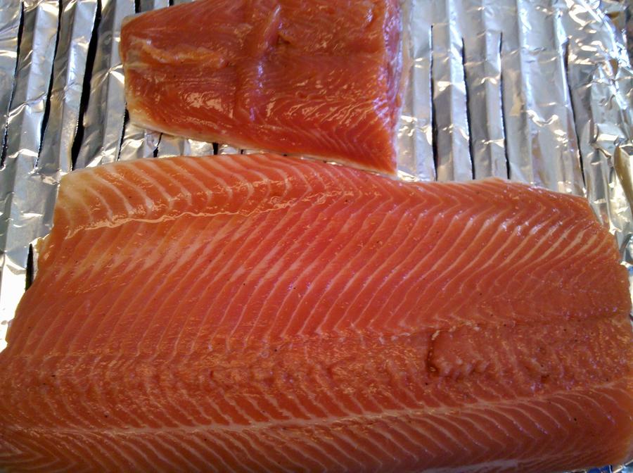 salmon1.jpg