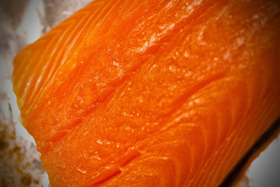 Salmon1.jpg
