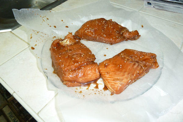 SALMON1.JPG
