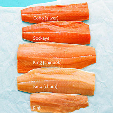 Salmon2.jpg