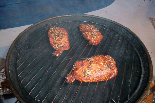 SALMON2.JPG