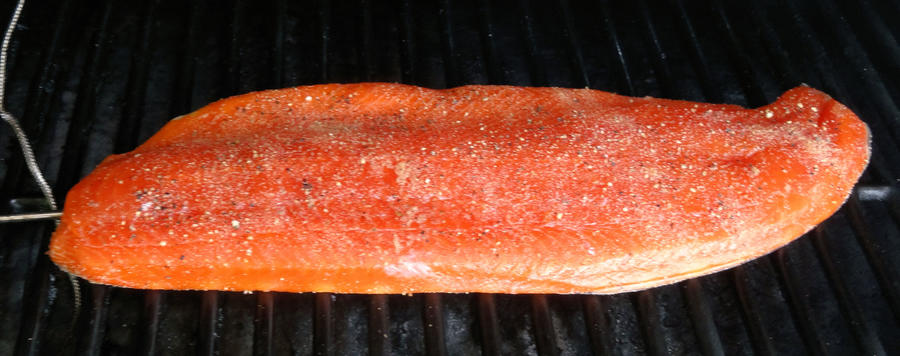 Salmon2.jpg