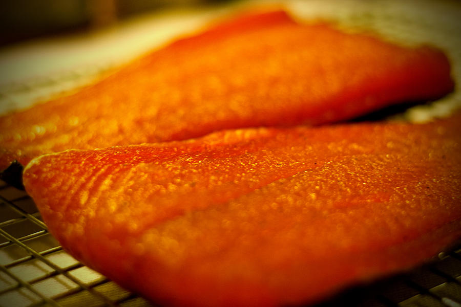 salmon4.jpg
